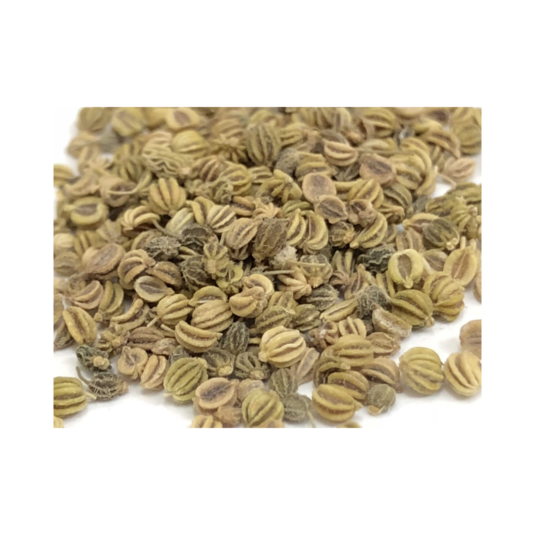 Herbasense Ajmoda Ajwain | 50g Pack