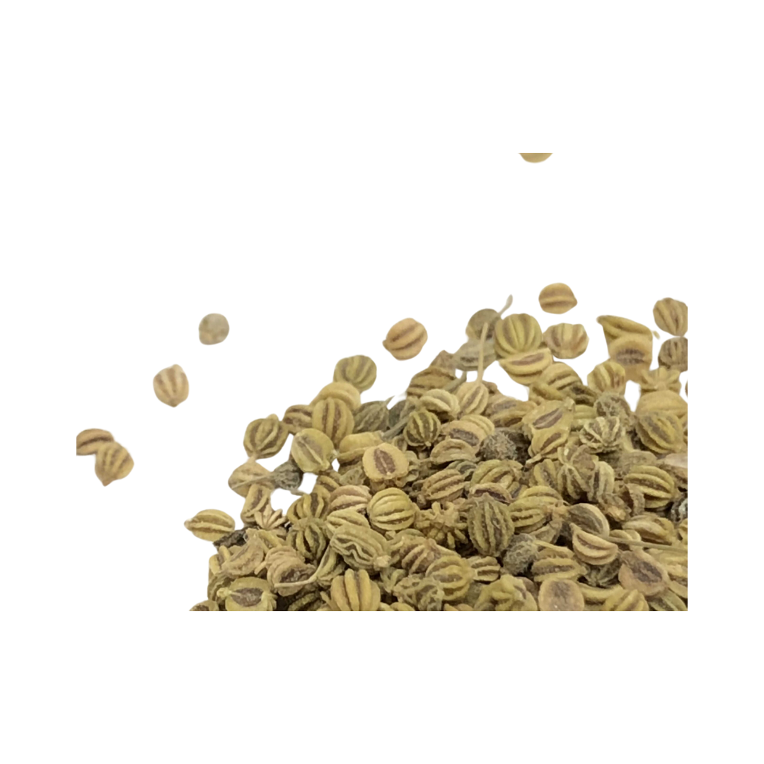 Herbasense Celery Seeds | 50g Pack