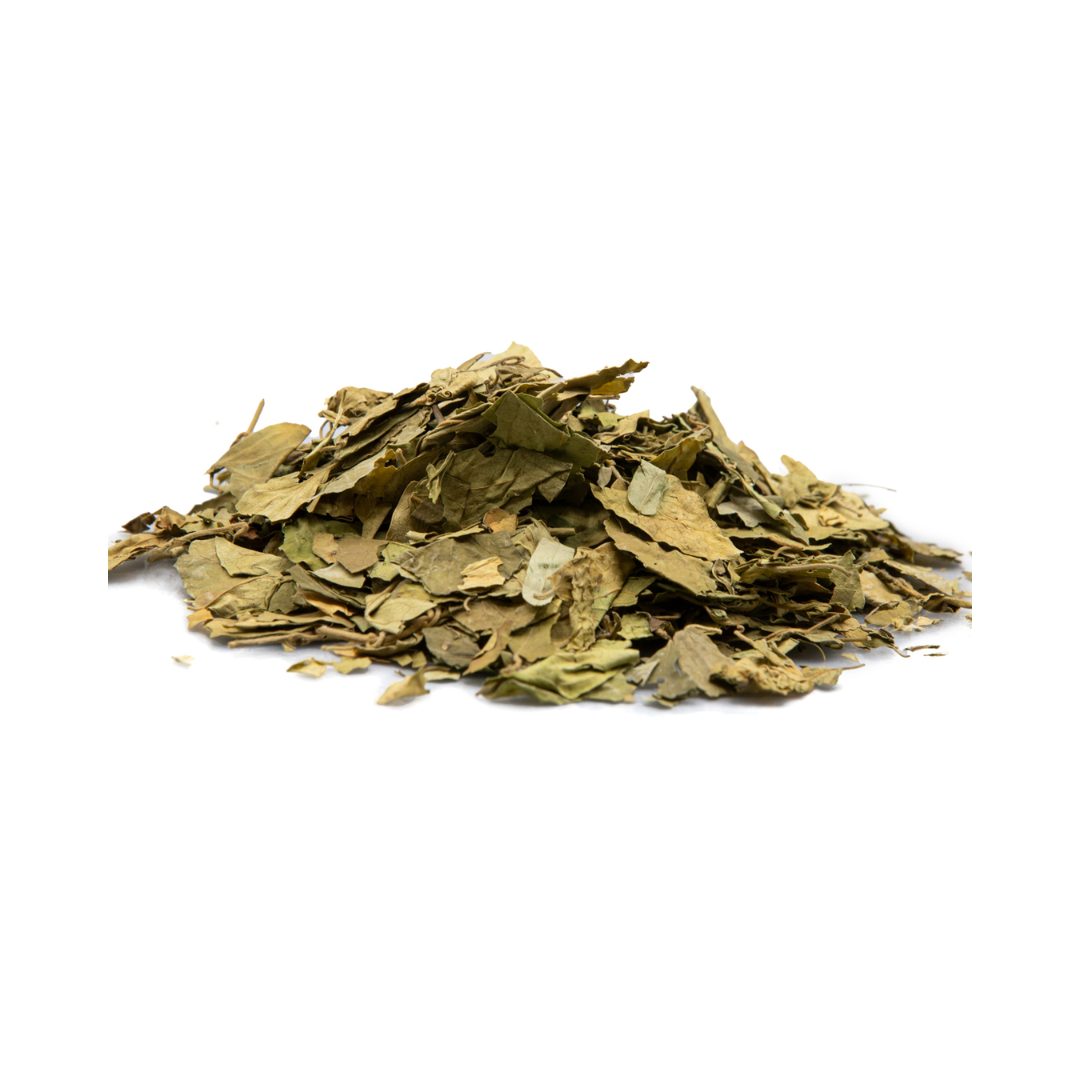 Herbasense Gurmar Leaves | 25g Pack
