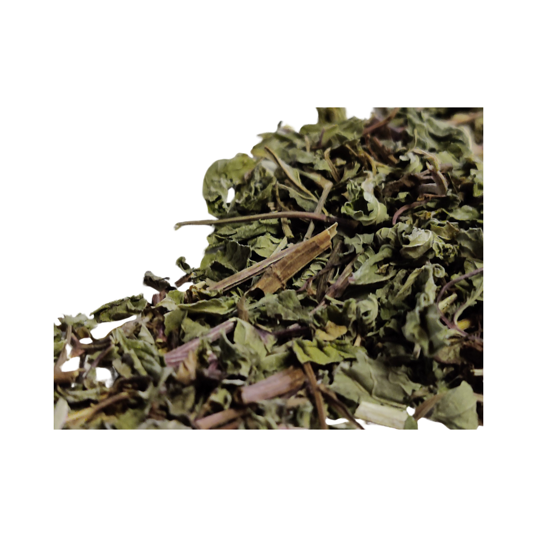 Herbasense Mint Leaves | 25g Pack