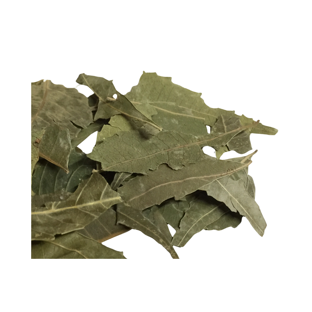 Herbasense Neem Leaves | 25g Pack