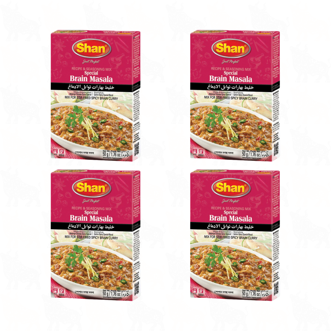 Shan Special Brain Masala | 50g | 4 Pack