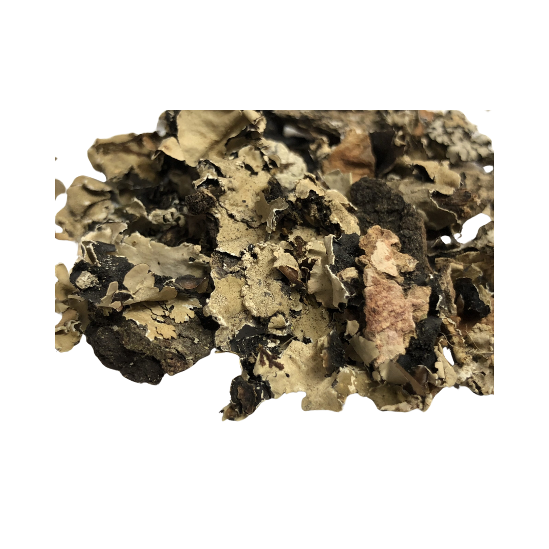 Herbasense Shilapushpi | 50g Pack