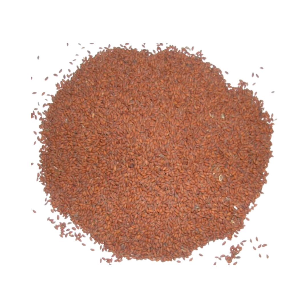 Herbasense Taramira Seeds | 50g Pack