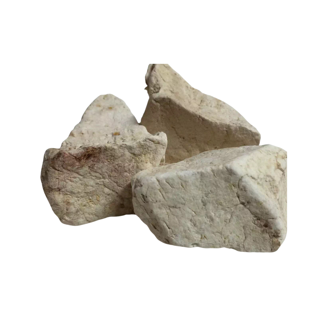 Herbasense Vidarikand | 50g Pack