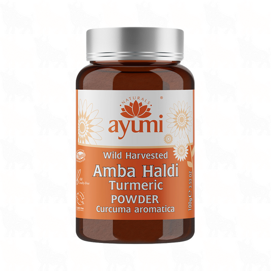 Ayumi Wild Harvested Amba Haldi (Turmeric) Powder | 100g