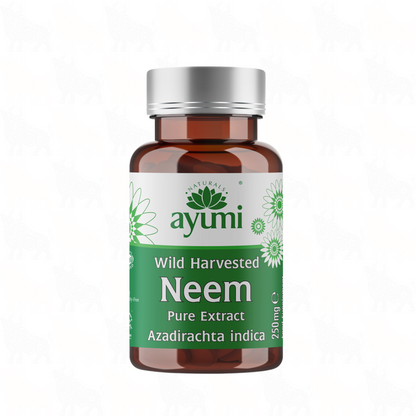 Ayumi Wild Harvested Neem | 250mg | 60 Vegan Capsules