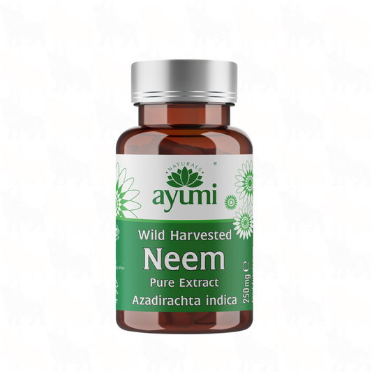 Ayumi Wild Harvested Neem | 250mg | 60 Vegan Capsules