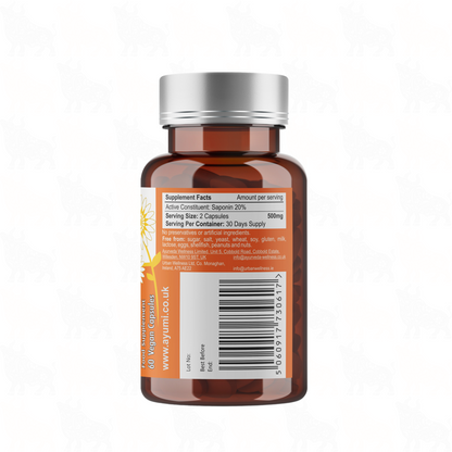 Ayumi Pure Extract Gokshura (Tribulus Terrestris) | 250mg | 60 Vegan Capsules
