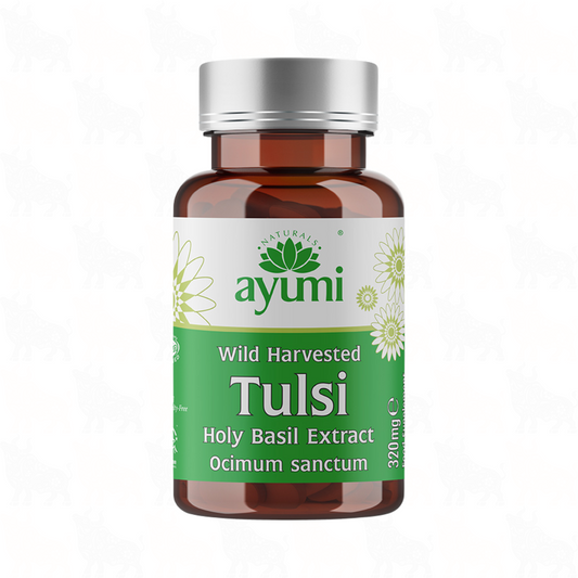 Ayumi Wild Harvested Tulsi | 320mg | 60 Vegan Capsules