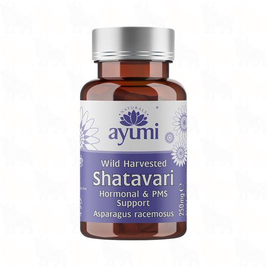 Ayumi Wild Harvested Shatavari | 250mg | 60 Vegan Capsules