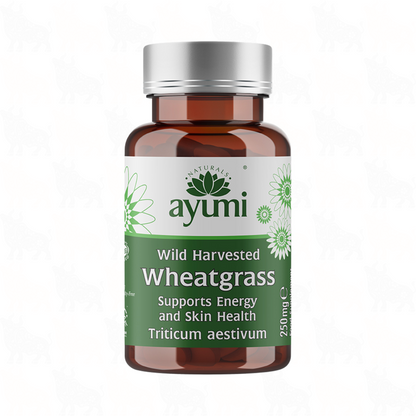 Ayumi Wild Harvested Wheatgrass | 250mg | 60 Vegan Capsule
