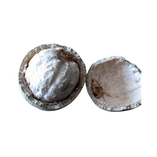 Herbasense Bael Fruit | 50g Pack