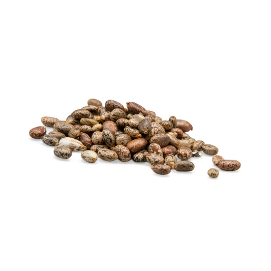 Herbasense Castor Beans | 50g Pack