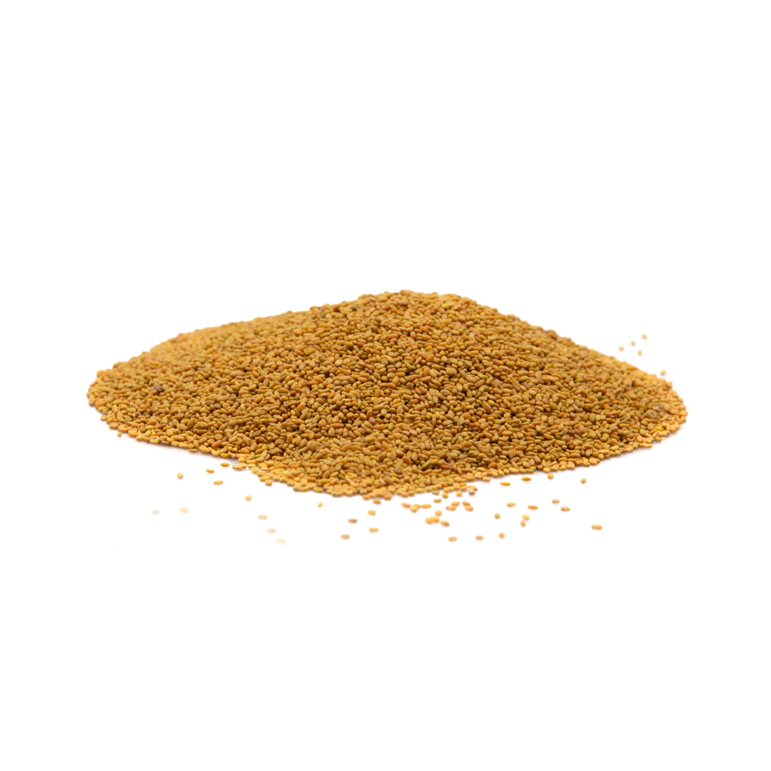 Herbasense Champa Methi Seeds | 80g Pack