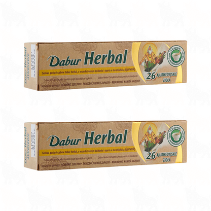 Dabur Herbal Ayurvedic Toothpaste | 100ml | 2 Pack