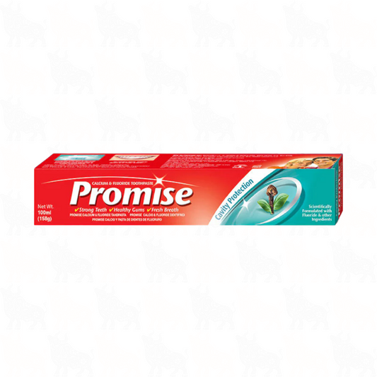 Dabur Promise Toothpaste | 100ml