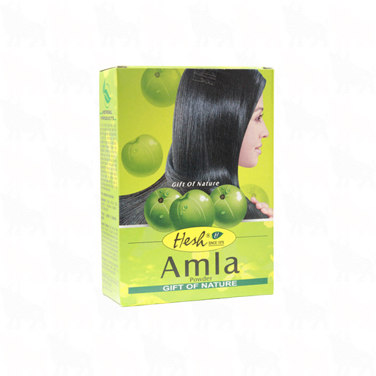 Hesh Amla Powder | 100g