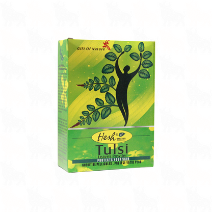 Hesh Tulsi Leaves Powder | 100g