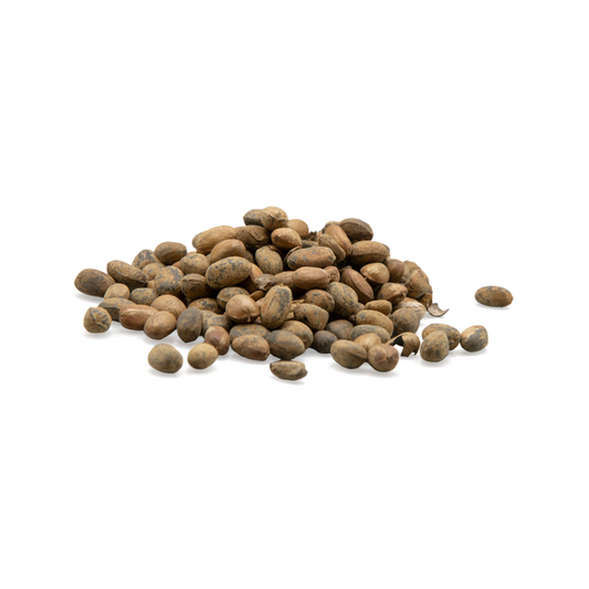 Herbasense Jamal Ghota Seeds | 50g Pack