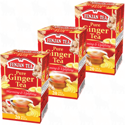 Fenjan Tea Pure Ginger Tea | 20 Tea Bags | 3 Pack