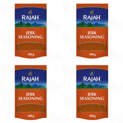 Rajah Jerk Style Seasoning | 100g | 4 Pack