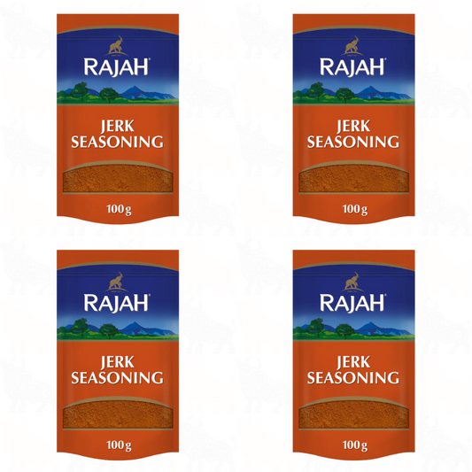 Rajah Jerk Style Seasoning | 100g | 4 Pack