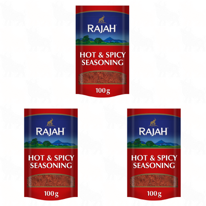 Rajah Hot & Spicy Seasoning | 100g | 3 Pack
