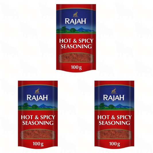 Rajah Hot & Spicy Seasoning | 100g | 3 Pack