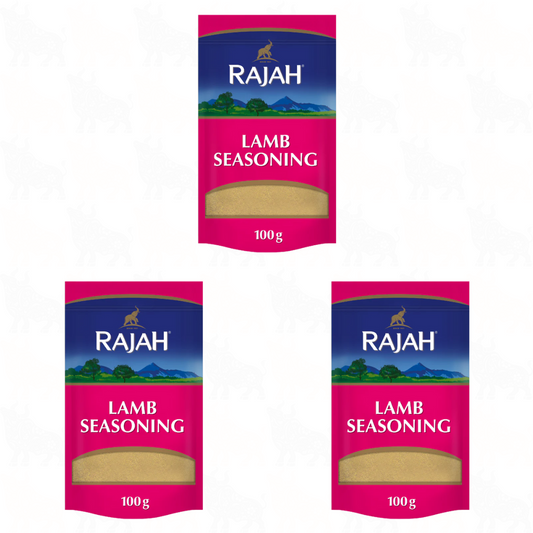 Rajah Lamb Seasoning | 100g | 3 Pack