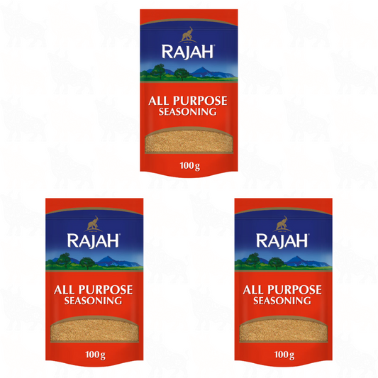 Rajah All Purpose Seasoning | 100g | 3 Pack