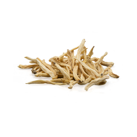 Herbasense Safed Musli Root | 25g Pack