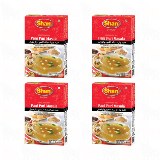 Shan Pani Puri Masala | 100g | 4 Pack