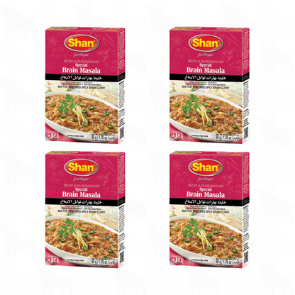 Shan Special Brain Masala | 50g | 4 Pack