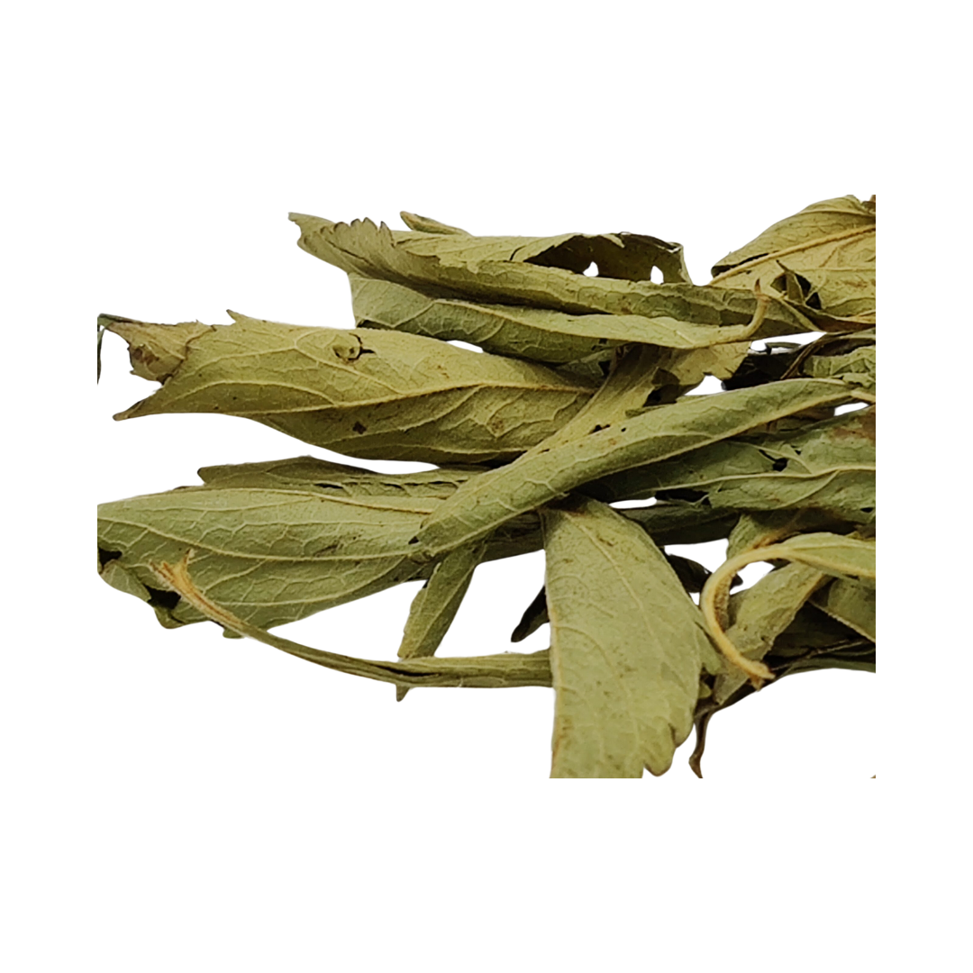 Herbasense Stevia Leaves | 25g Pack