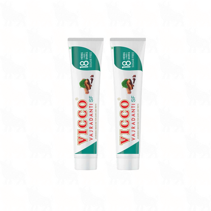 Vicco Vajradanti SF Toothpaste (Sugar Free) | 200g | 2 Pack