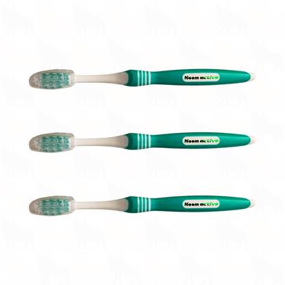 Neem Active Toothpaste | 200g + Free Toothbrush