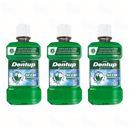 Vasu Dentup Neem Herbal Mouthwash | 250ml | 3 Pack