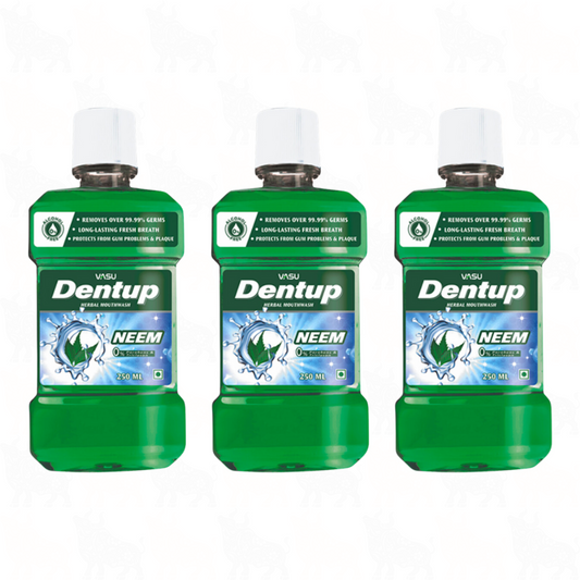 Vasu Dentup Neem Herbal Mouthwash | 250ml | 3 Pack